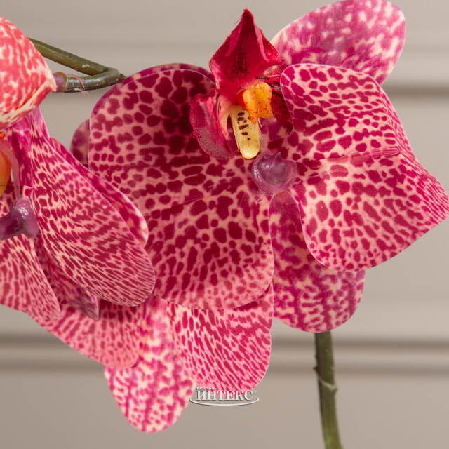 Тигровая искусственная орхидея 37 см Edelman