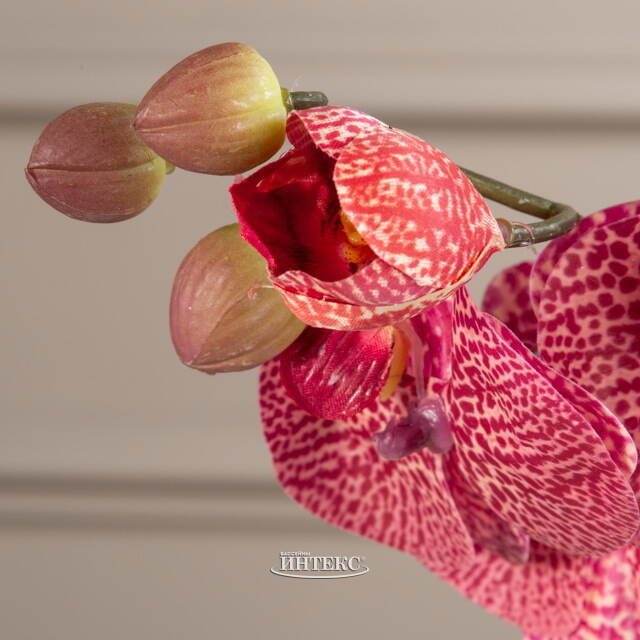 Тигровая искусственная орхидея 37 см Edelman