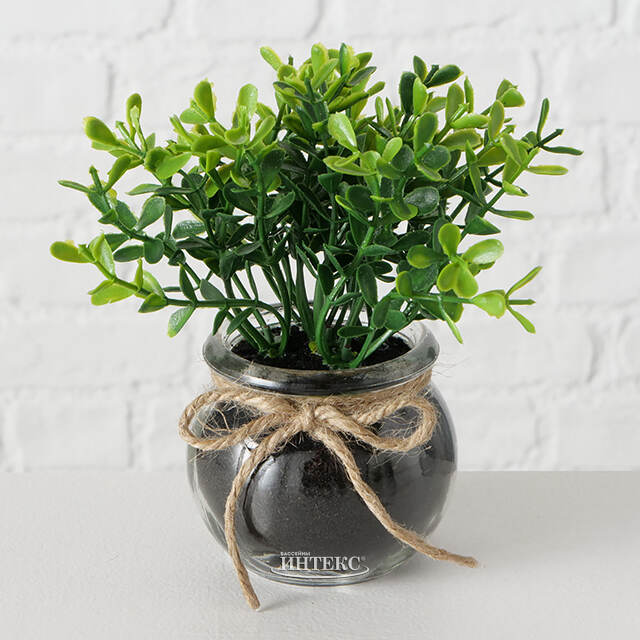 Искусственный цветок в горшке Буксус Компакта 15 см Boltze (Больтце)