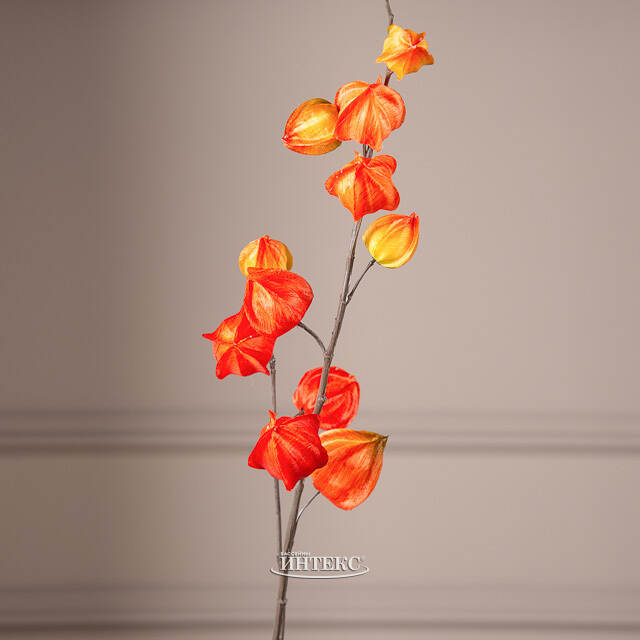 Искусственная ветка Физалис 90 см оранжевый Boltze