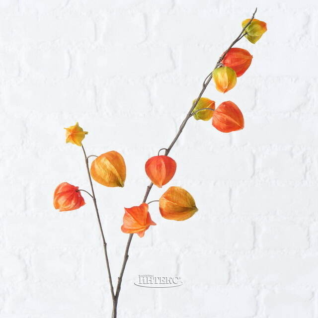 Искусственная ветка Физалис 90 см оранжевый Boltze