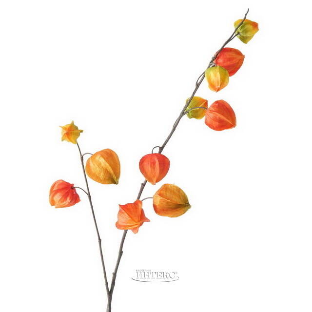 Искусственная ветка Физалис 90 см оранжевый Boltze