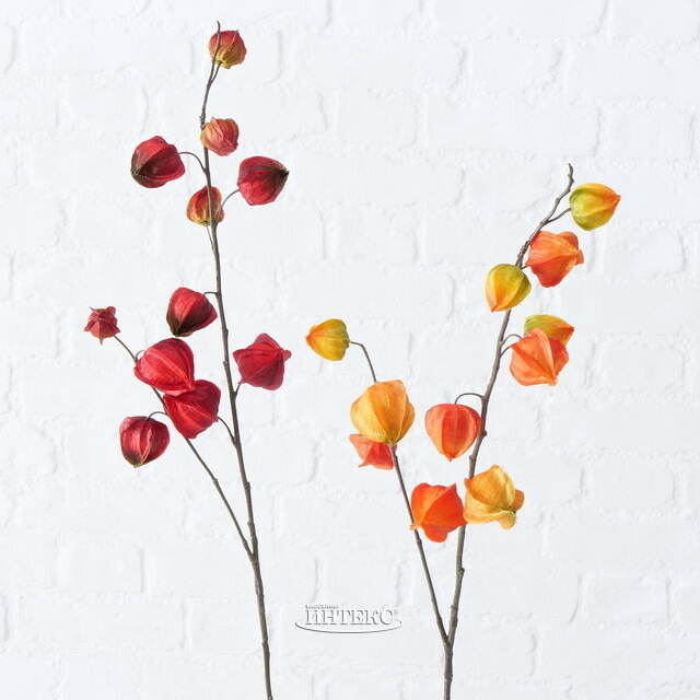 Искусственная ветка Физалис 90 см оранжевый Boltze