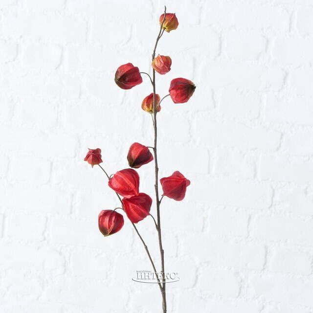 Искусственная ветка Физалис 90 см красный Boltze