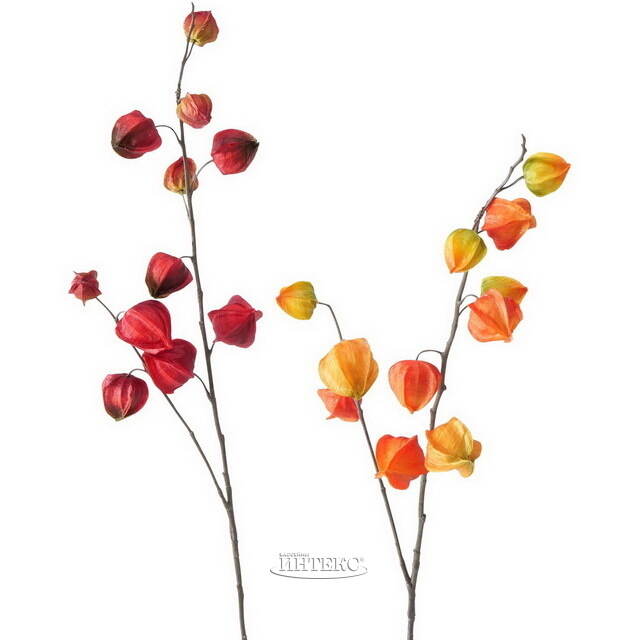 Искусственная ветка Физалис 90 см оранжевый Boltze