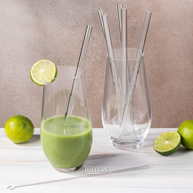 Стеклянные трубочки для коктейлей с ершиком James 23 см, 6 шт EDG