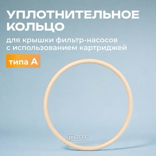 Уплотнительное кольцо Intex (Интекс) для фильтр-насоса с картриджем типа А INTEX (Интекс)