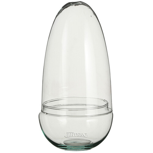 Стеклянная ваза для флорариума и композиций Рододендрон 25*13 см Edelman