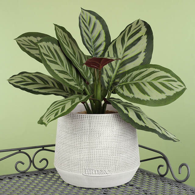 Керамическое кашпо Грей Джой 19 см Edelman (Эдельман)