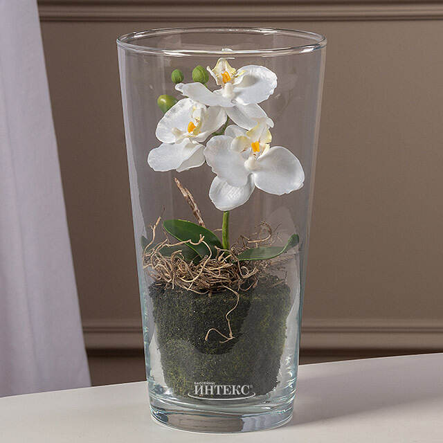 Искусственный цветок в кашпо Орхидея Королевская 30 см белая Edelman (Эдельман)