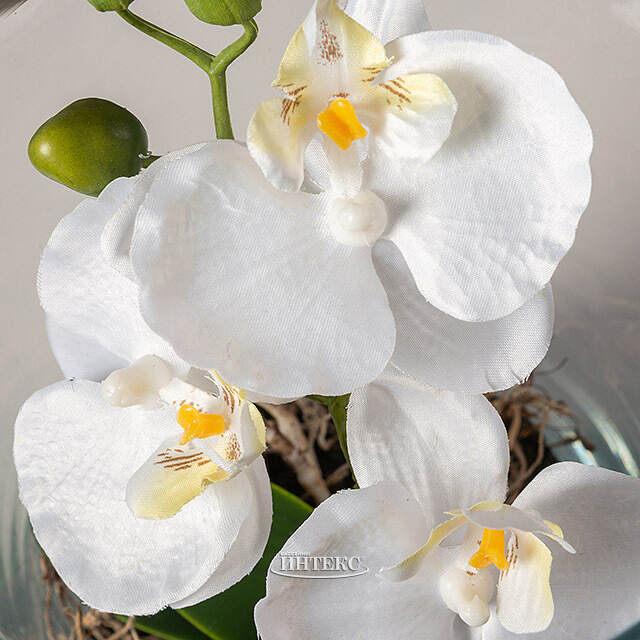 Искусственный цветок в кашпо Орхидея Королевская 30 см белая Edelman (Эдельман)