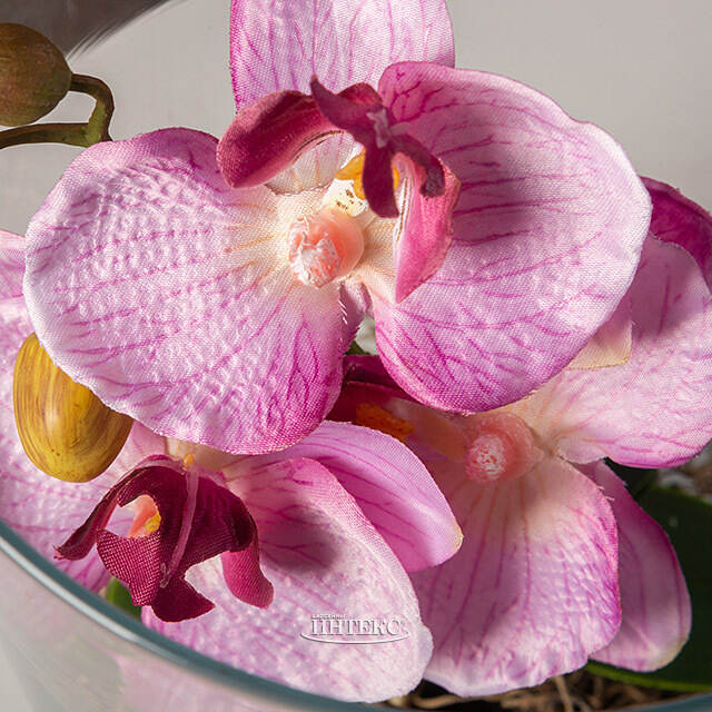 Искусственный цветок в кашпо Орхидея Королевская 30 см розовая Edelman (Эдельман)