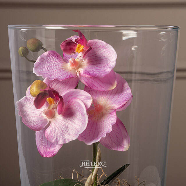 Искусственный цветок в кашпо Орхидея Королевская 30 см розовая Edelman (Эдельман)