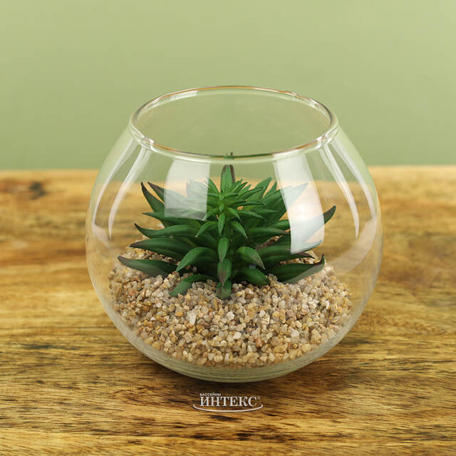 Искусственный флорариум Калифорнийская Агава 12 см Edelman (Эдельман)