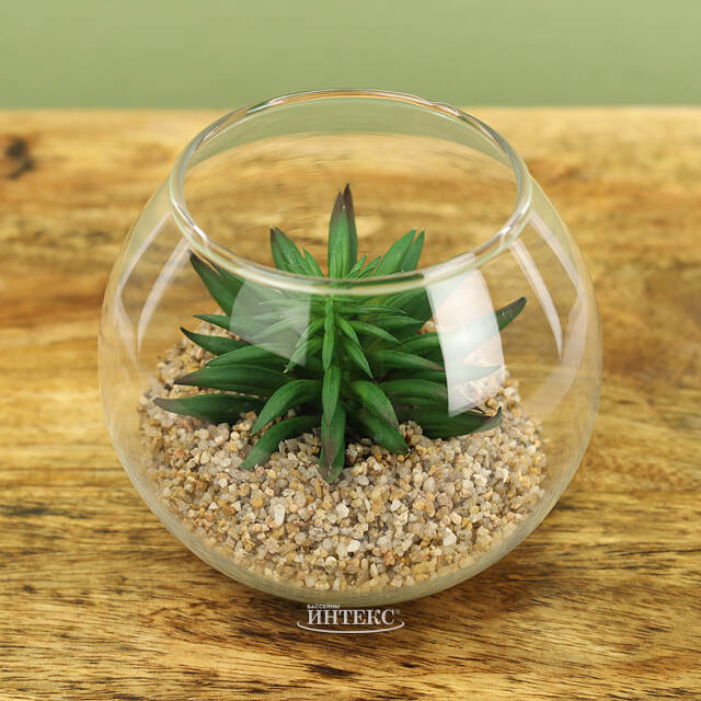 Искусственный флорариум Калифорнийская Агава 12 см Edelman (Эдельман)