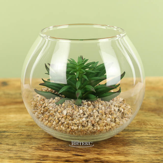 Искусственный флорариум Калифорнийская Агава 12 см Edelman (Эдельман)