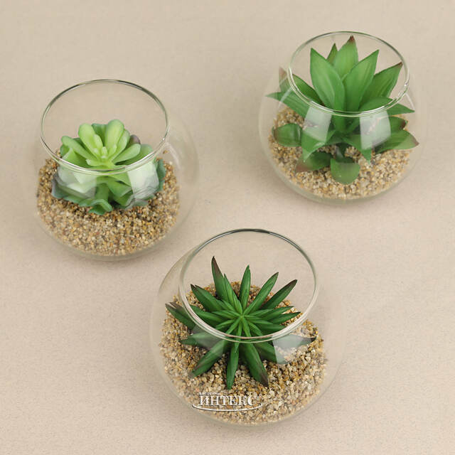 Искусственный флорариум Калифорнийская Агава 12 см Edelman (Эдельман)