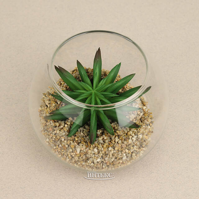 Искусственный флорариум Калифорнийская Агава 12 см Edelman (Эдельман)