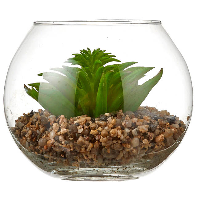 Искусственный флорариум Калифорнийская Агава 12 см Edelman (Эдельман)