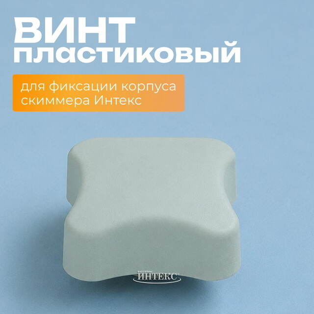Винт для корпуса скиммера Intex (Интекс) 10526 INTEX (Интекс)