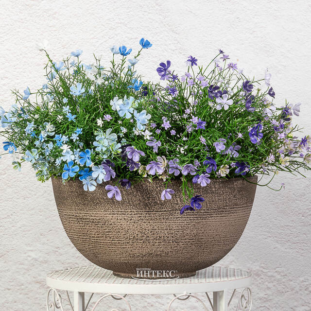 Декоративное кашпо Ричмонд 35*17 см мокко, пластик Edelman