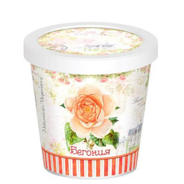 Набор для выращивания цветка Бегония Rostokvisa (Ростоквиса)