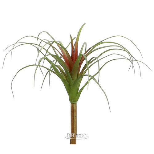 Искусственное растение Колумбийская Тилландсия 26*24 см Edelman