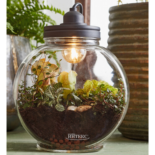 Стеклянная ваза с подсветкой для флорариума и композиций Глациус 24*14 см, IP20 Edelman