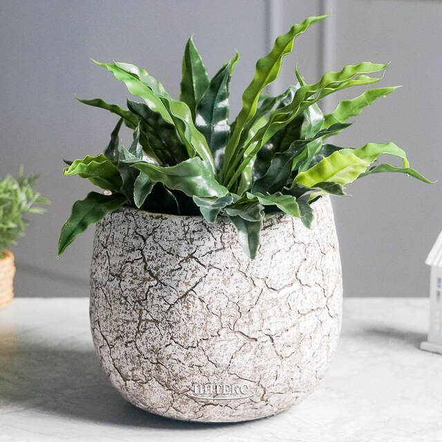 Декоративное кашпо Эрмосильо 21*19 см Edelman