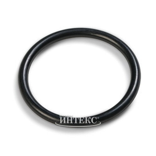 Уплотнительное кольцо для песочного фильтр-насоса 10712 Intex INTEX