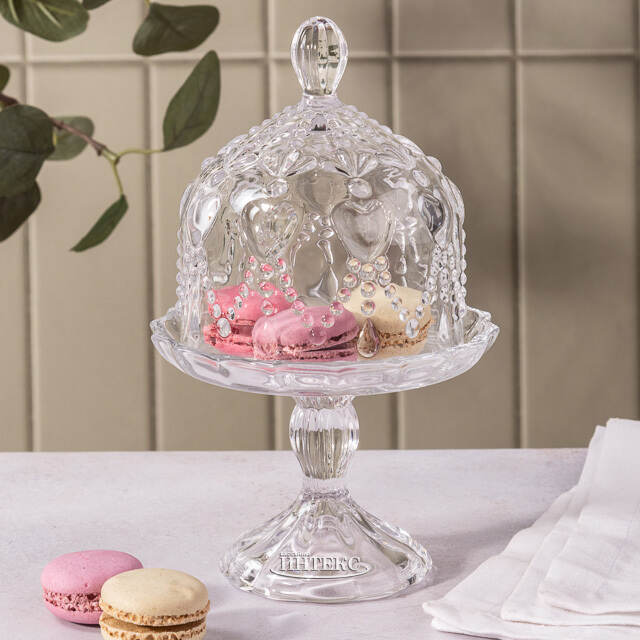 Тортница с крышкой Astonishing 20*14 см EDG