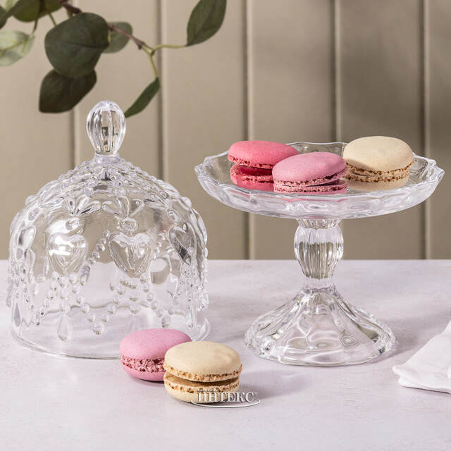 Тортница с крышкой Astonishing 20*14 см EDG