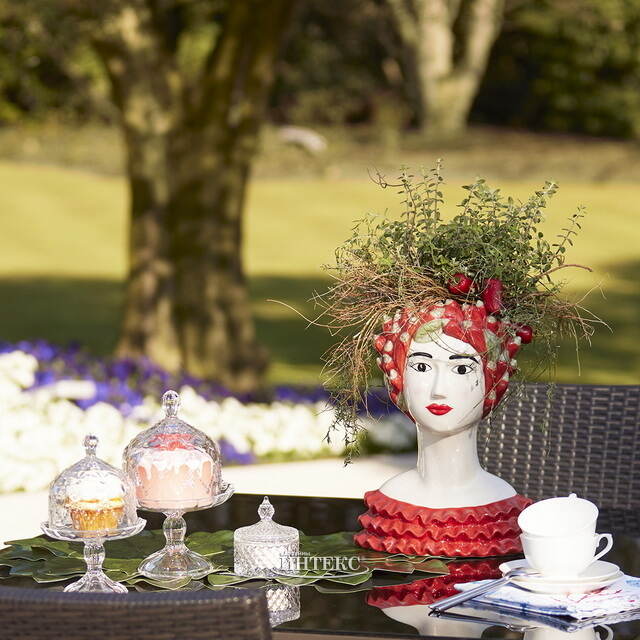 Тортница с крышкой Astonishing 20*14 см EDG