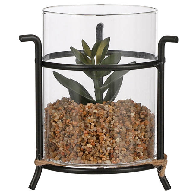 Искусственный флорариум Аптения 11 см Edelman (Эдельман)