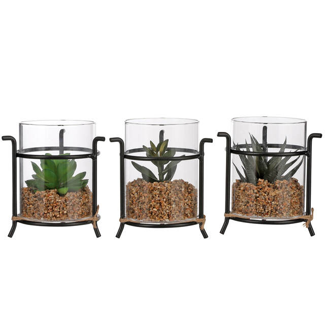 Искусственный флорариум Аптения 11 см Edelman (Эдельман)