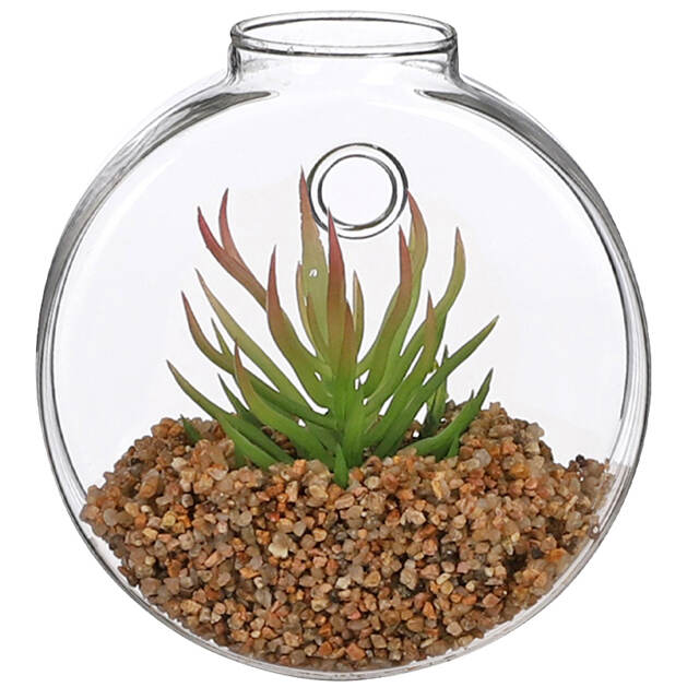 Настенный искусственный флорариум Агава Королевы Виктории 10 см Edelman