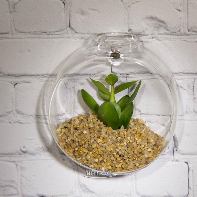 Настенный искусственный флорариум Адениум 10 см Edelman