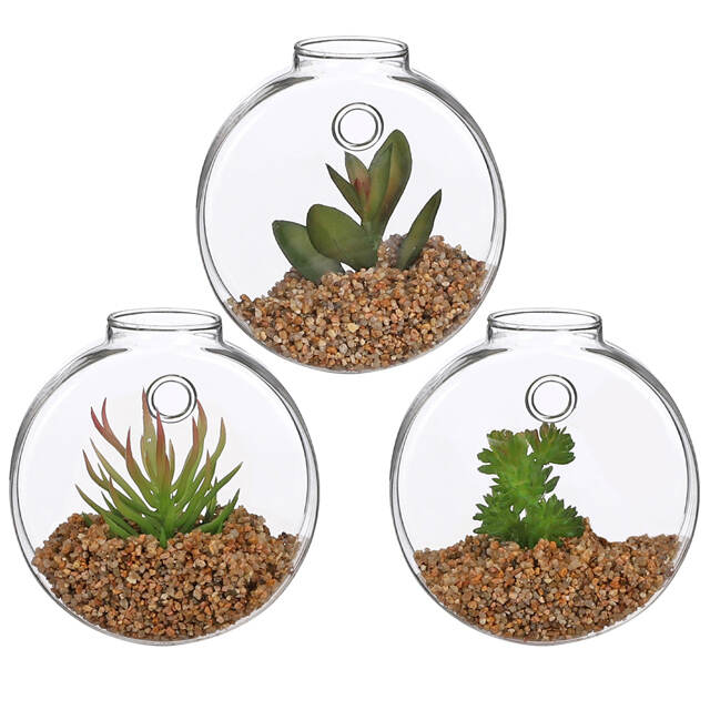 Настенный искусственный флорариум Адениум 10 см Edelman