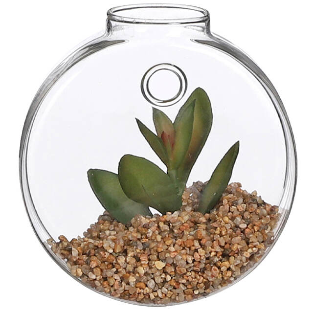 Настенный искусственный флорариум Адениум 10 см Edelman
