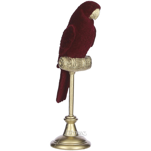 Декоративная статуэтка Попугай Даарио на золотой жёрдочке 28 см, бордовый Edelman