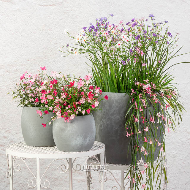 Керамическое кашпо Тиарольди 16*14 см Edelman