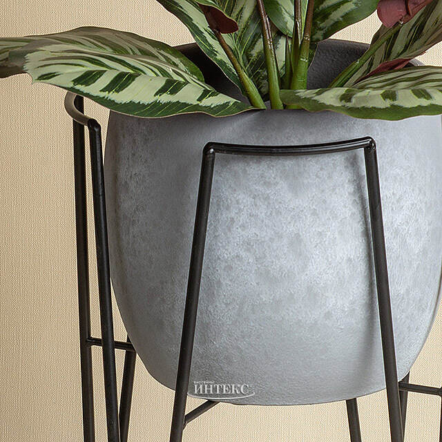 Керамическое кашпо Тиарольди 20*18 см Edelman (Эдельман)