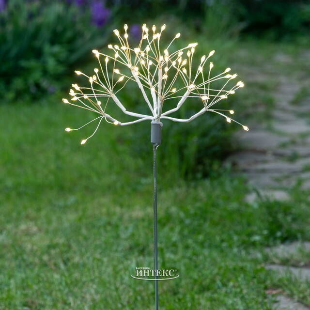 Светодиодное украшение Одуванчик Бронда 50 см, 80 теплых белых LED ламп, IP44 Edelman (Эдельман)