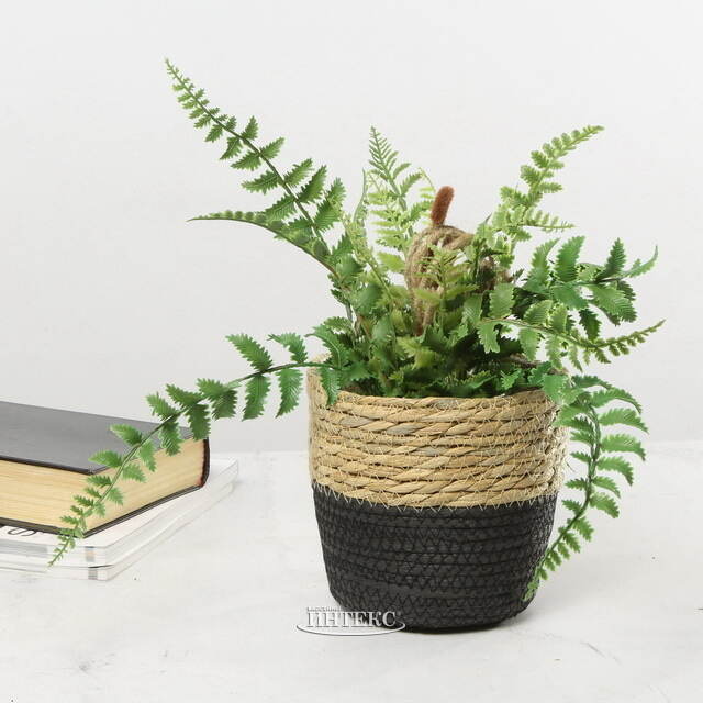 Декоративное кашпо Вениджи 14*14 см Edelman