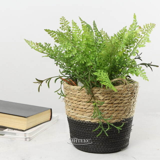 Декоративное кашпо Вениджи 18 см Edelman