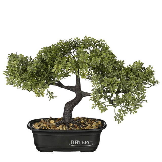 Искусственный бонсай Конкордия 33 см Edelman
