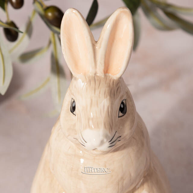 Кувшин Wild Rabbit 23 см Edelman