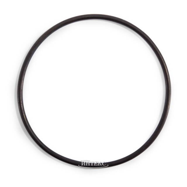 Уплотнительное кольцо скиммера песочного фильтр-насоса Intex 11824 INTEX