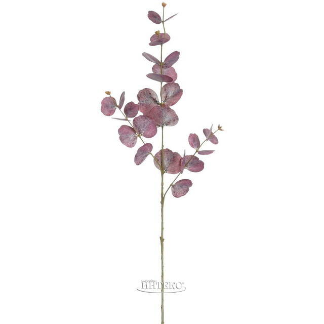 Искусственная ветка Эвкалипт Purple Haze 88 см Edelman