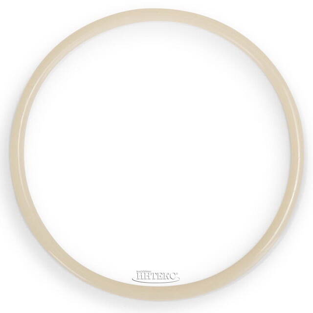 Уплотнительное кольцо для картриджного фильтр-насоса Intex 11919 INTEX